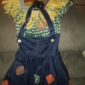 Wizard of Oz Ladies scarecrow Costume